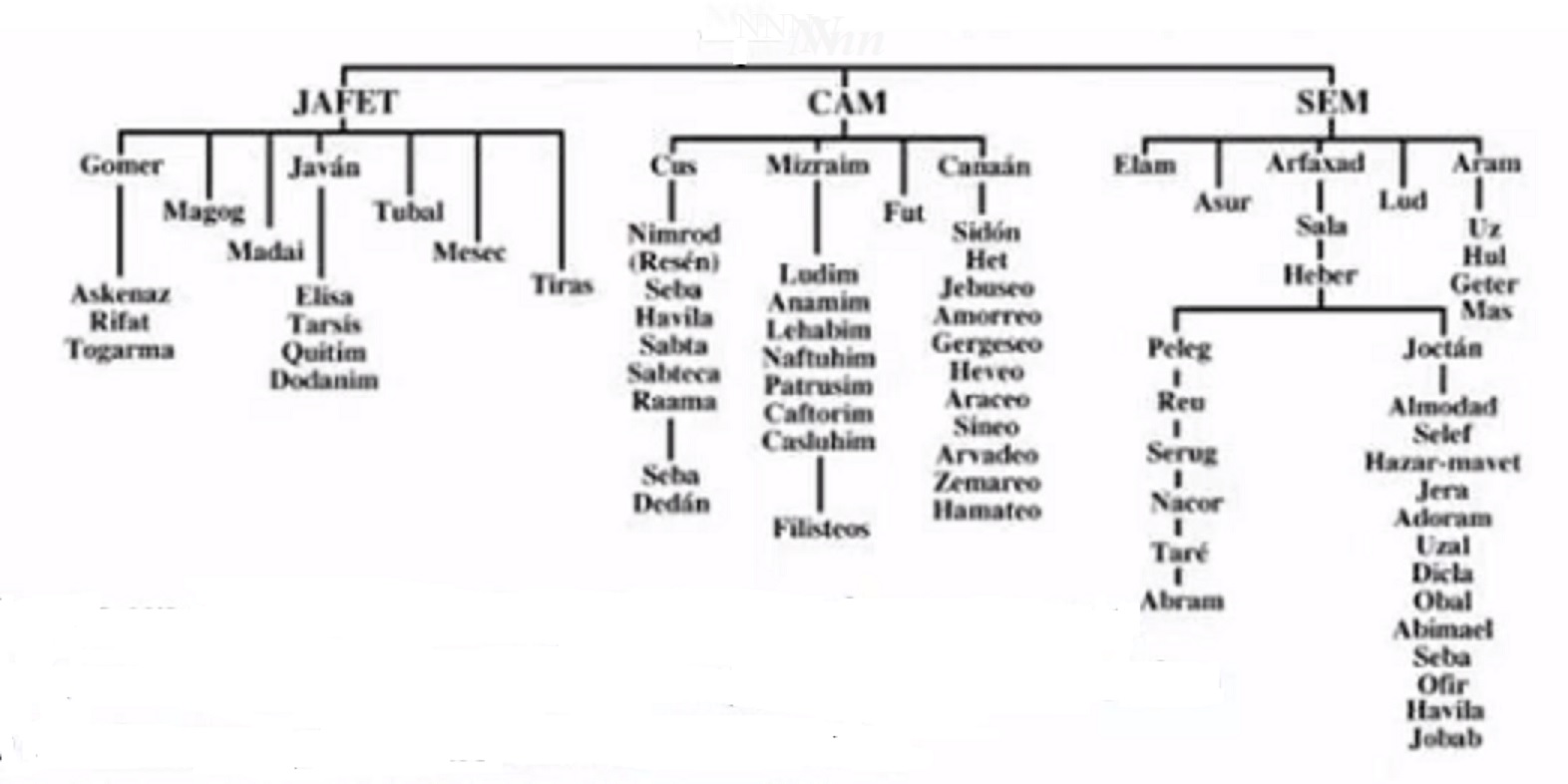 NUESTROS ORÍGENES. NOÉ Y SUS DESCENDIENTES. Parte 4. Los cordones que